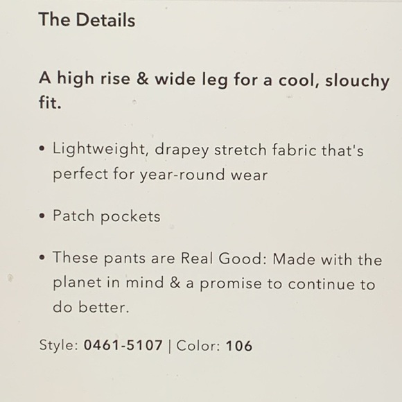 AE Dreamy Drape Woven Super High Waisted baggy wide Leg Pant - Picture 10 of 10